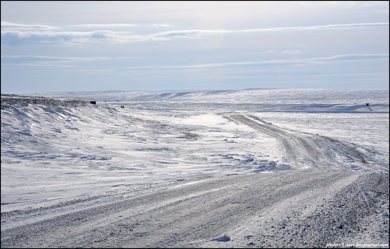 Yamal Peninsula, Siberia, Russia