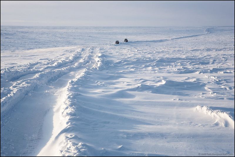 Yamal Peninsula, Siberia, Russia