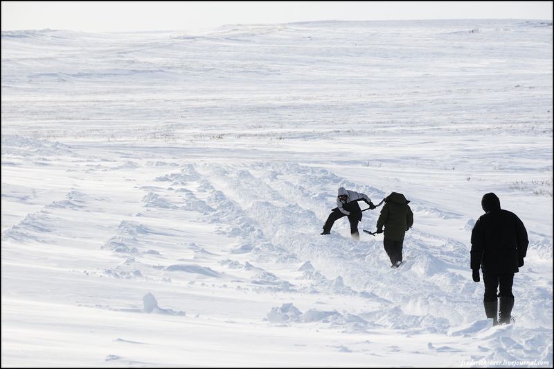 Yamal Peninsula, Siberia, Russia