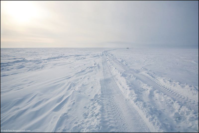 Yamal Peninsula, Siberia, Russia