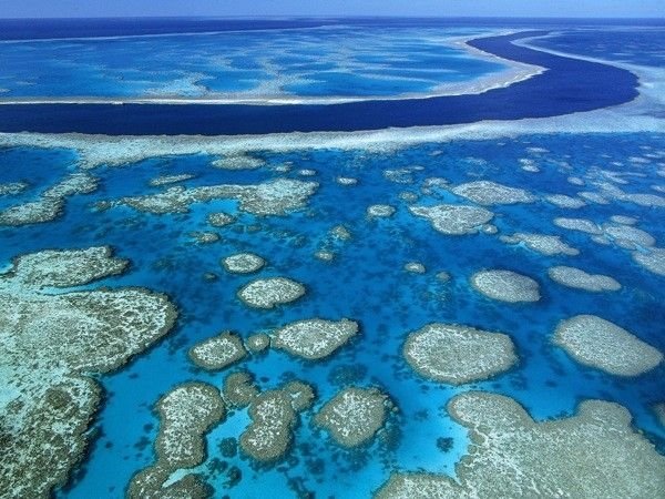 Stranded ship, Great Barrier Reef, Coral Sea, Queensland, Australia