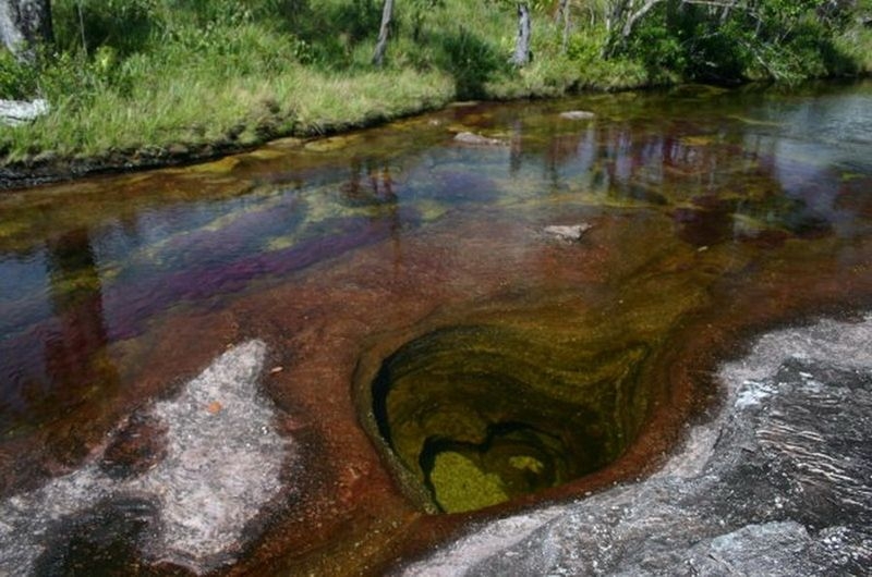 Caño Cristales, The River of Five Colors, Serrania de la Macarena, Meta, Colombia