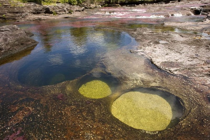 Caño Cristales, The River of Five Colors, Serrania de la Macarena, Meta, Colombia