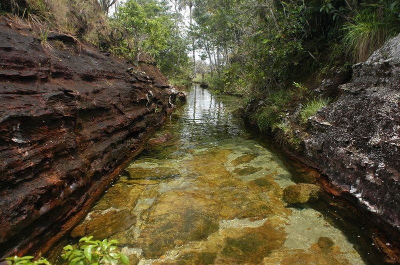 Caño Cristales, The River of Five Colors, Serrania de la Macarena, Meta, Colombia