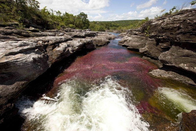 Caño Cristales, The River of Five Colors, Serrania de la Macarena, Meta, Colombia