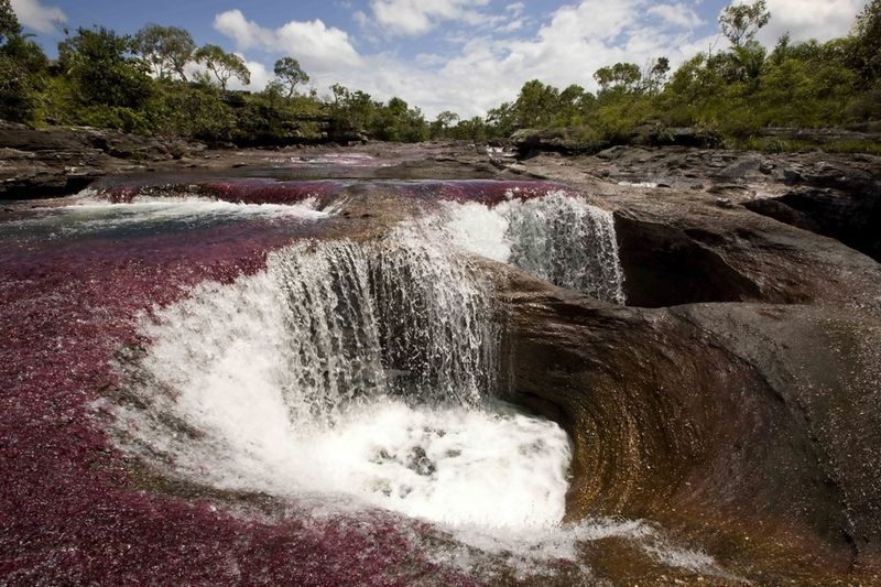 Caño Cristales, The River of Five Colors, Serrania de la Macarena, Meta, Colombia