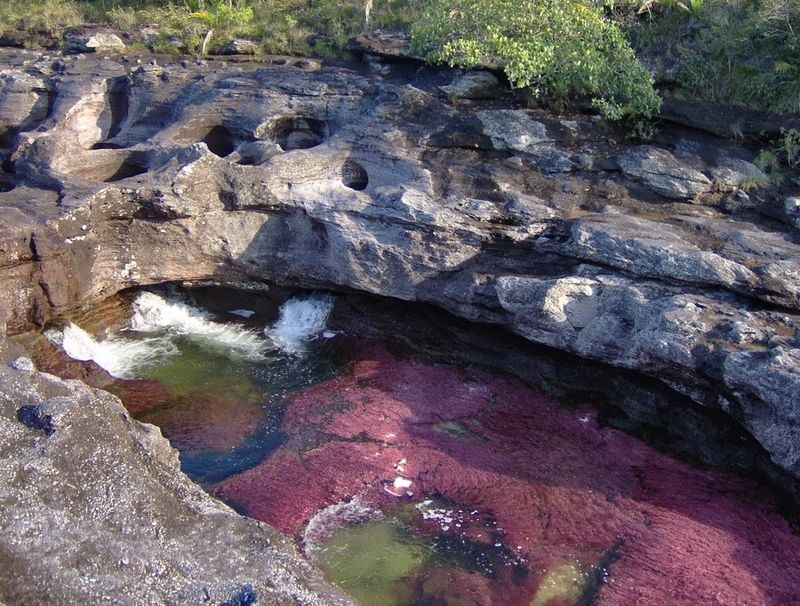 Caño Cristales, The River of Five Colors, Serrania de la Macarena, Meta, Colombia