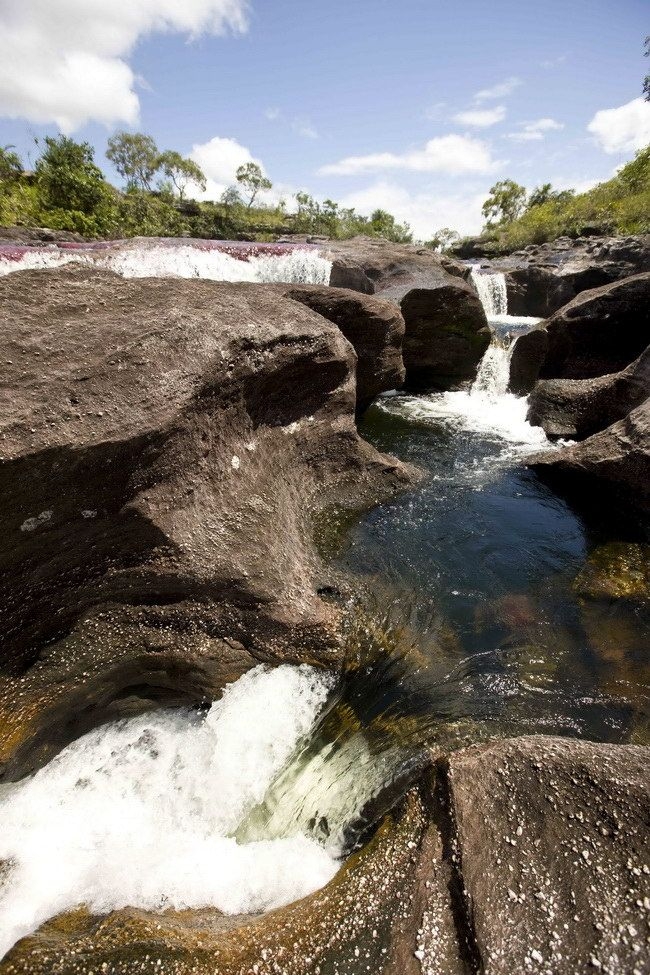 Caño Cristales, The River of Five Colors, Serrania de la Macarena, Meta, Colombia