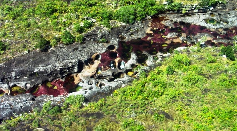 Caño Cristales, The River of Five Colors, Serrania de la Macarena, Meta, Colombia