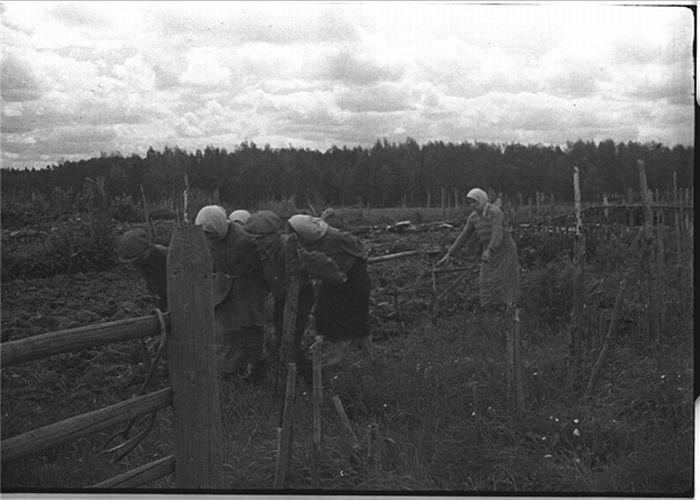 History: World War II photography