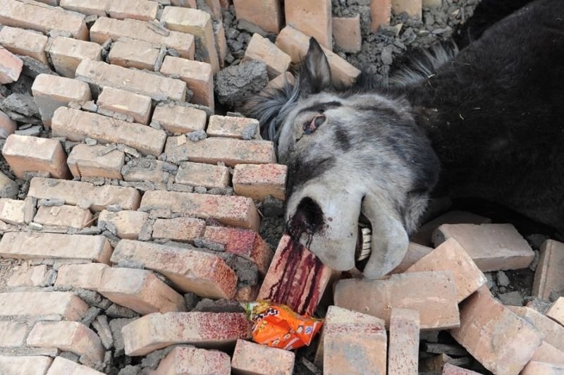 Earthquake in Yushu county, Qinghai, China