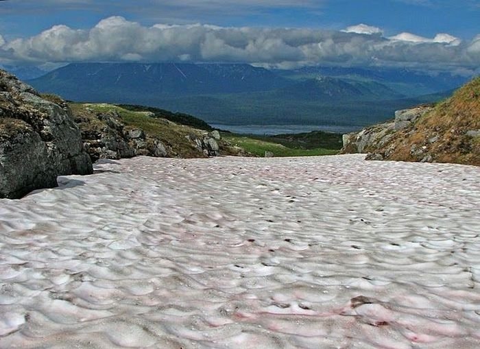 Watermelon snow, California