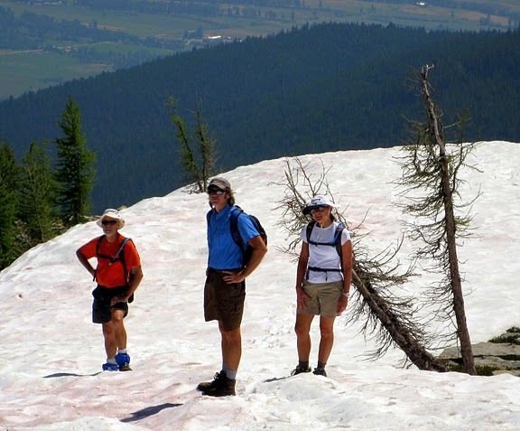 Watermelon snow, California