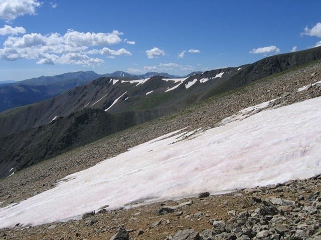 Watermelon snow, California