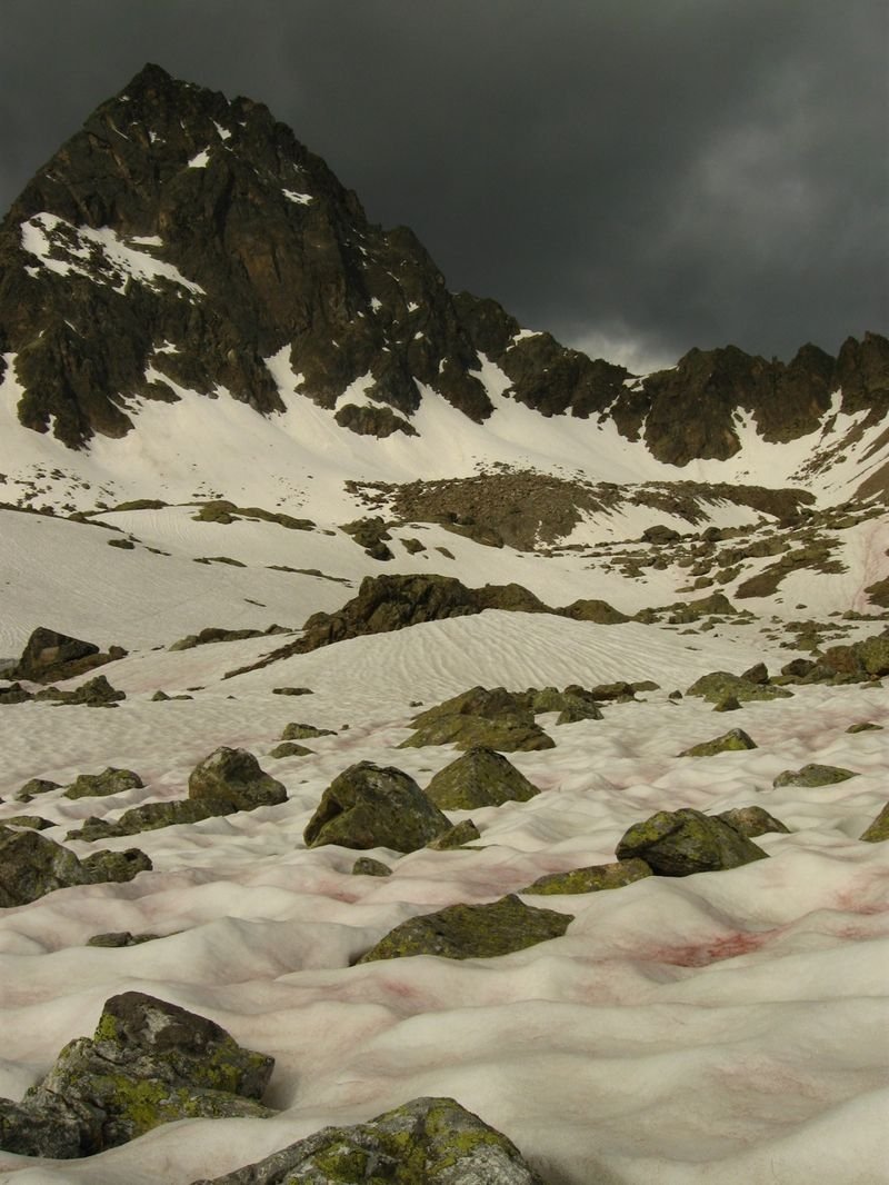 Watermelon snow, California