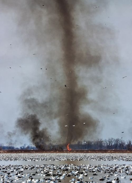 storms, lightnings and tornadoes