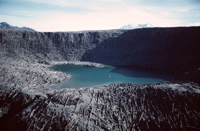 Mount St. Helens, Eruption in 1980