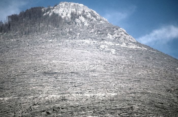 Mount St. Helens, Eruption in 1980