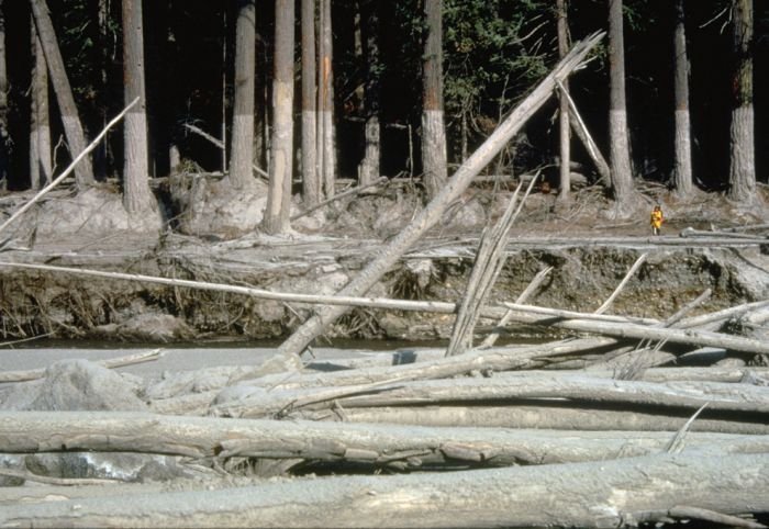 Mount St. Helens, Eruption in 1980