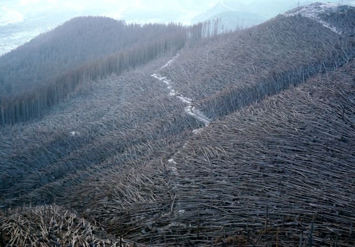 Mount St. Helens, Eruption in 1980