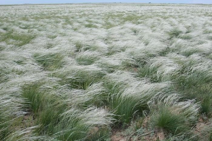 Salt Lake Baskunchak, Russia