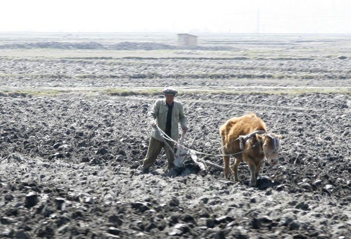 Life in North Korea