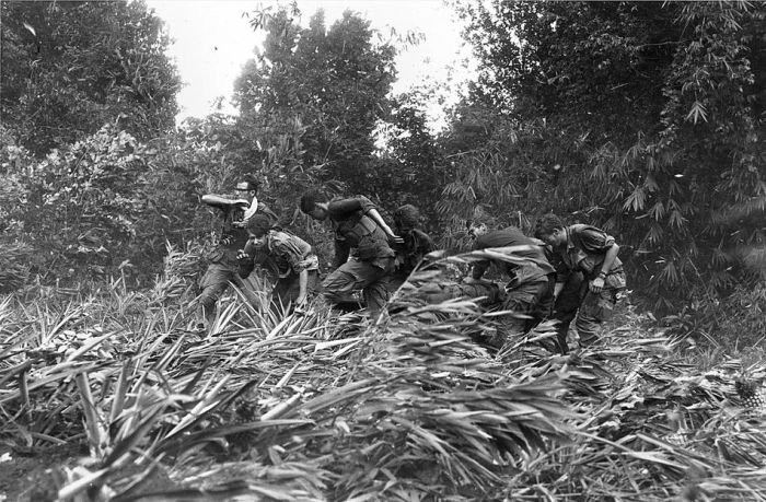 History: Vietnam war in photographs