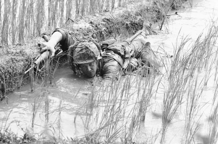 History: Vietnam war in photographs