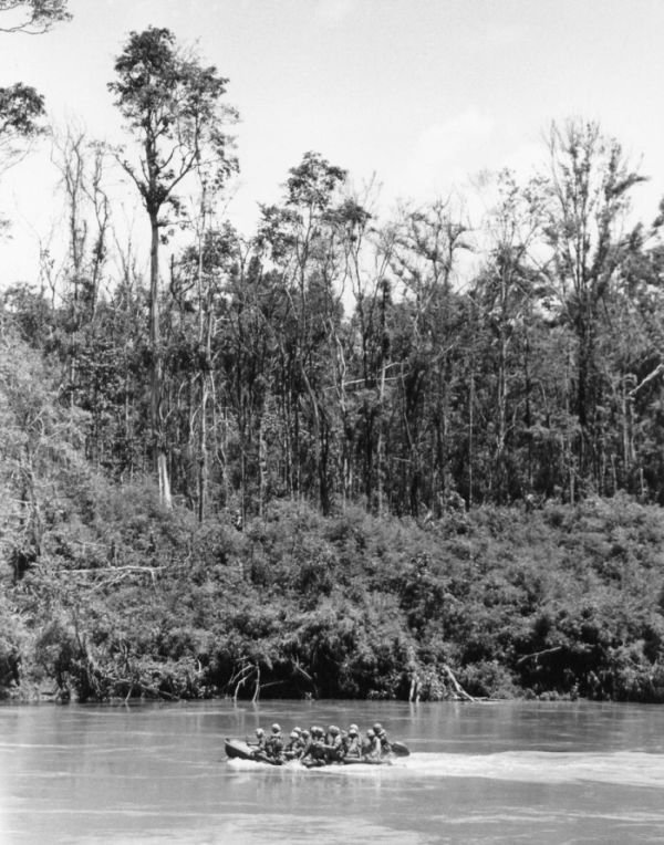 History: Vietnam war in photographs