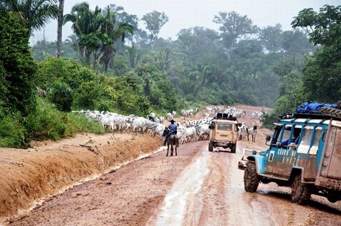 Trans-Amazonian Highway