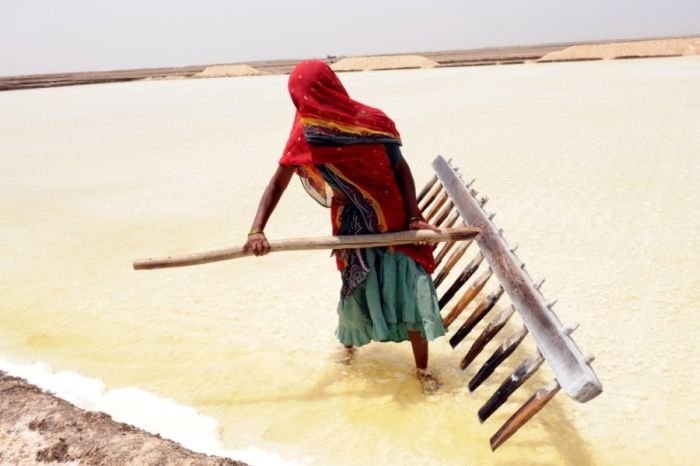 Salt production, India and Indonesia