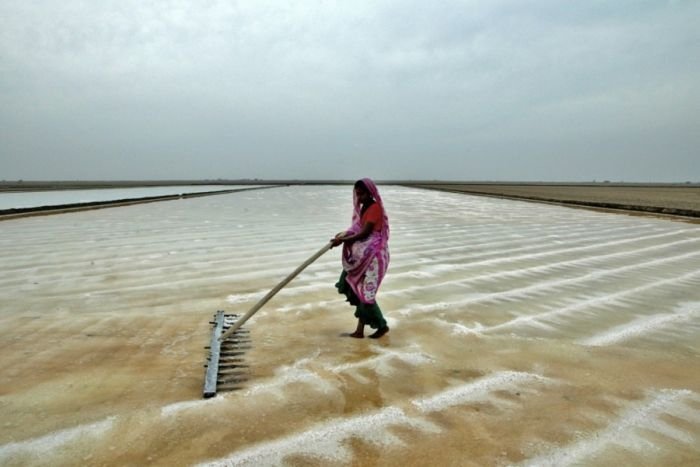 Salt production, India and Indonesia