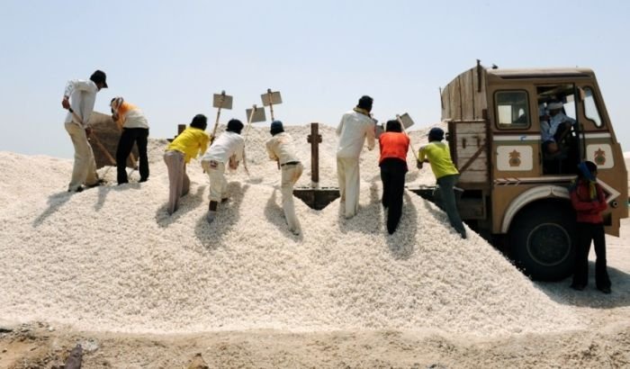 Salt production, India and Indonesia