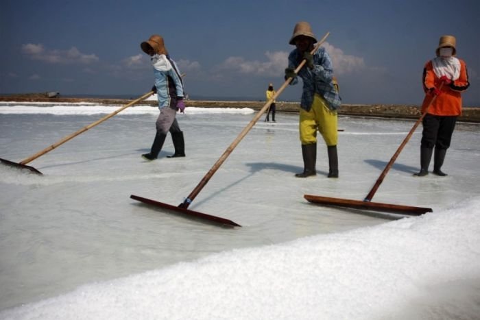 Salt production, India and Indonesia