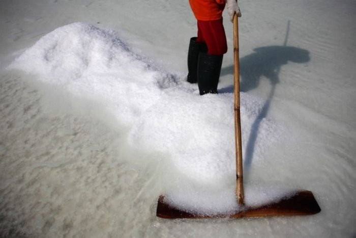 Salt production, India and Indonesia