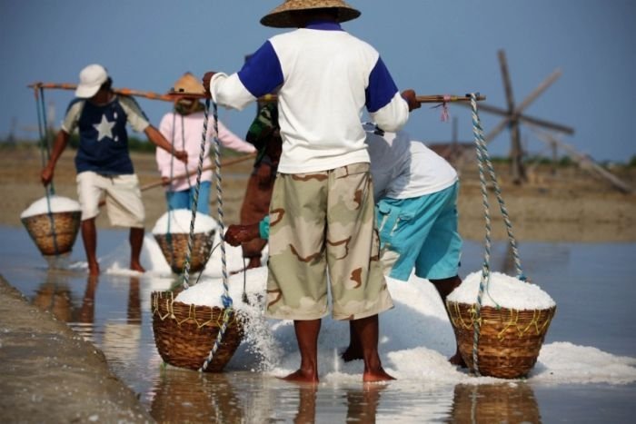 Salt production, India and Indonesia