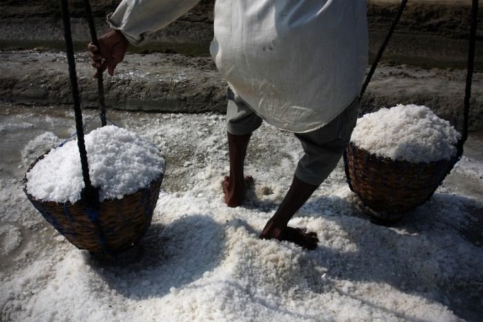 Salt production, India and Indonesia