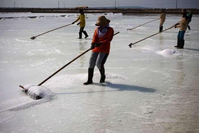 Salt production, India and Indonesia