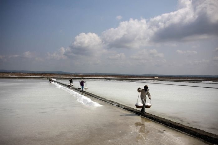 Salt production, India and Indonesia