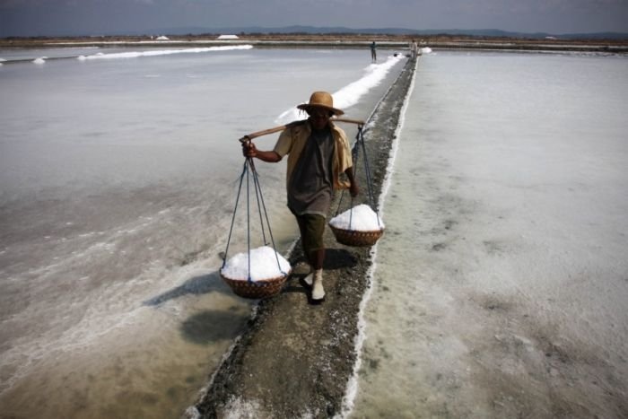 Salt production, India and Indonesia