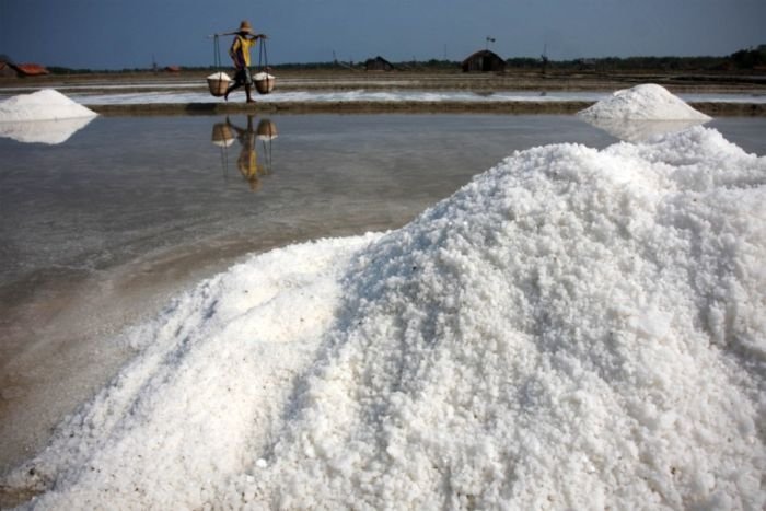 Salt production, India and Indonesia
