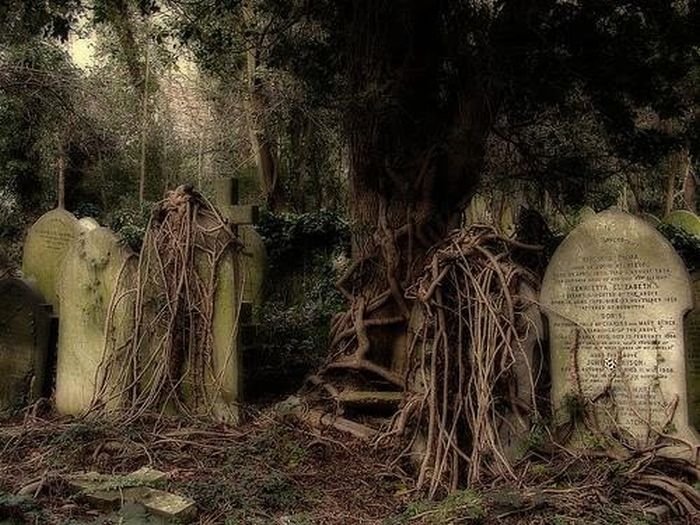 graveyards around the world