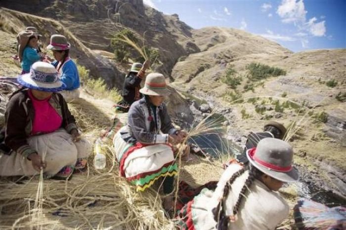 Qeswachaka Bridge, Peru