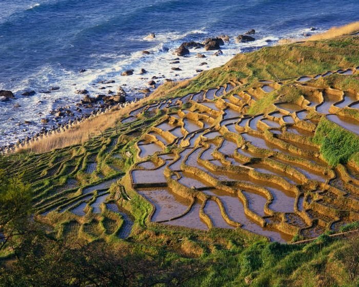 paddy fields, rice terraces