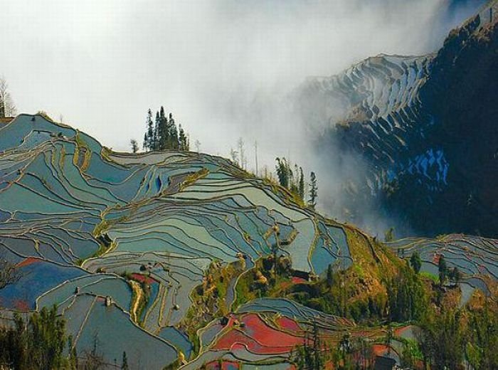 paddy fields, rice terraces