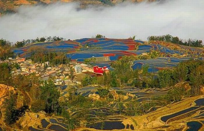 paddy fields, rice terraces