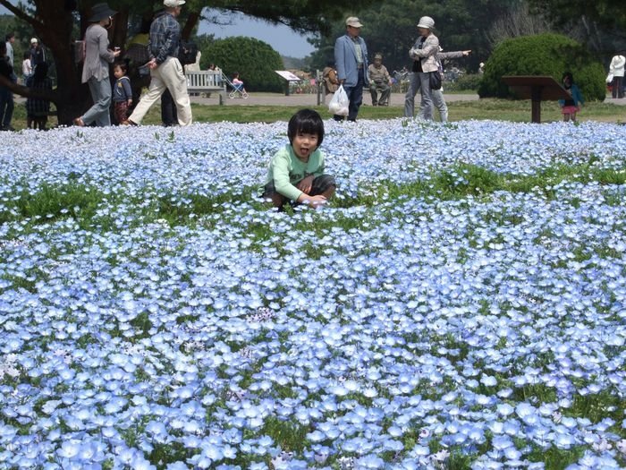 Hitachi Seaside Park, Hitachinaka, Ibaraki, Japan