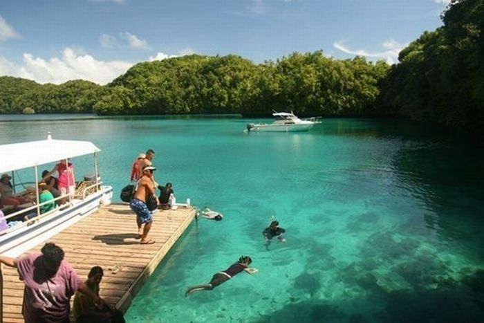 Jellyfish Lake, Eil Malk island, Palau, Pacific Ocean