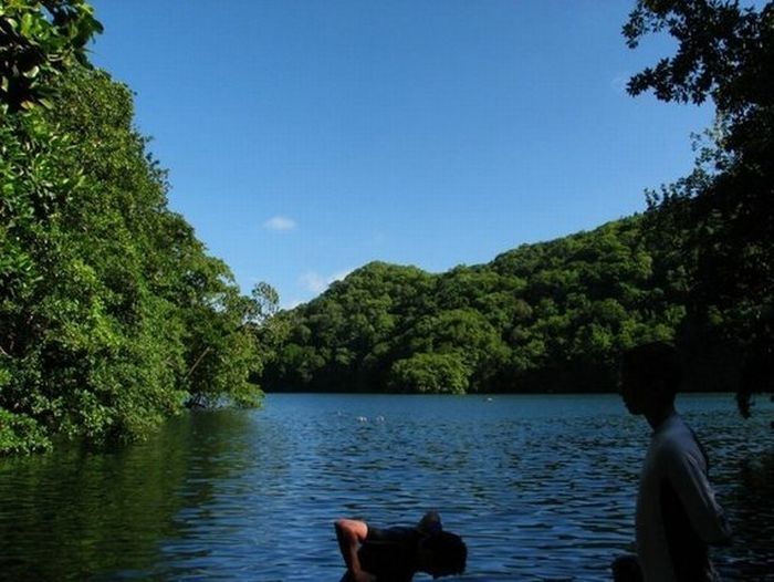 Jellyfish Lake, Eil Malk island, Palau, Pacific Ocean