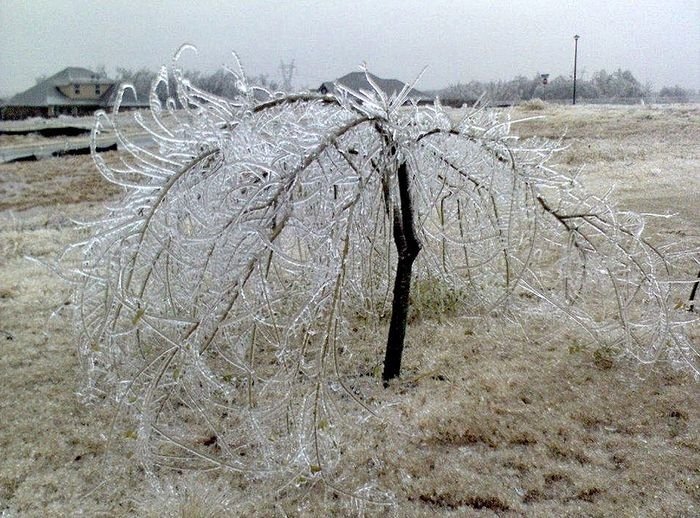 winter photography